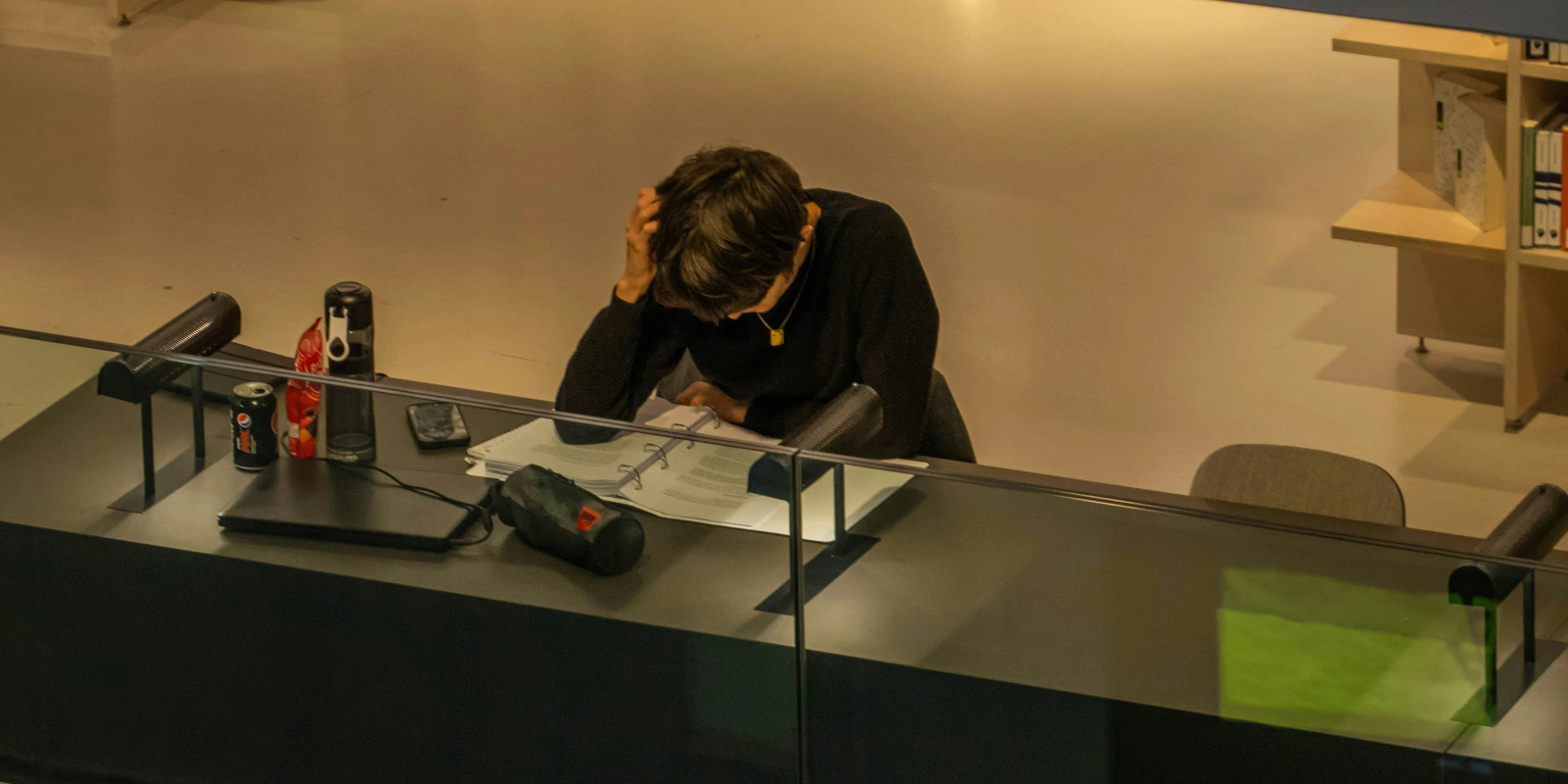 Analyser un Thème en BTSA ACSAGRI : Méthodologie