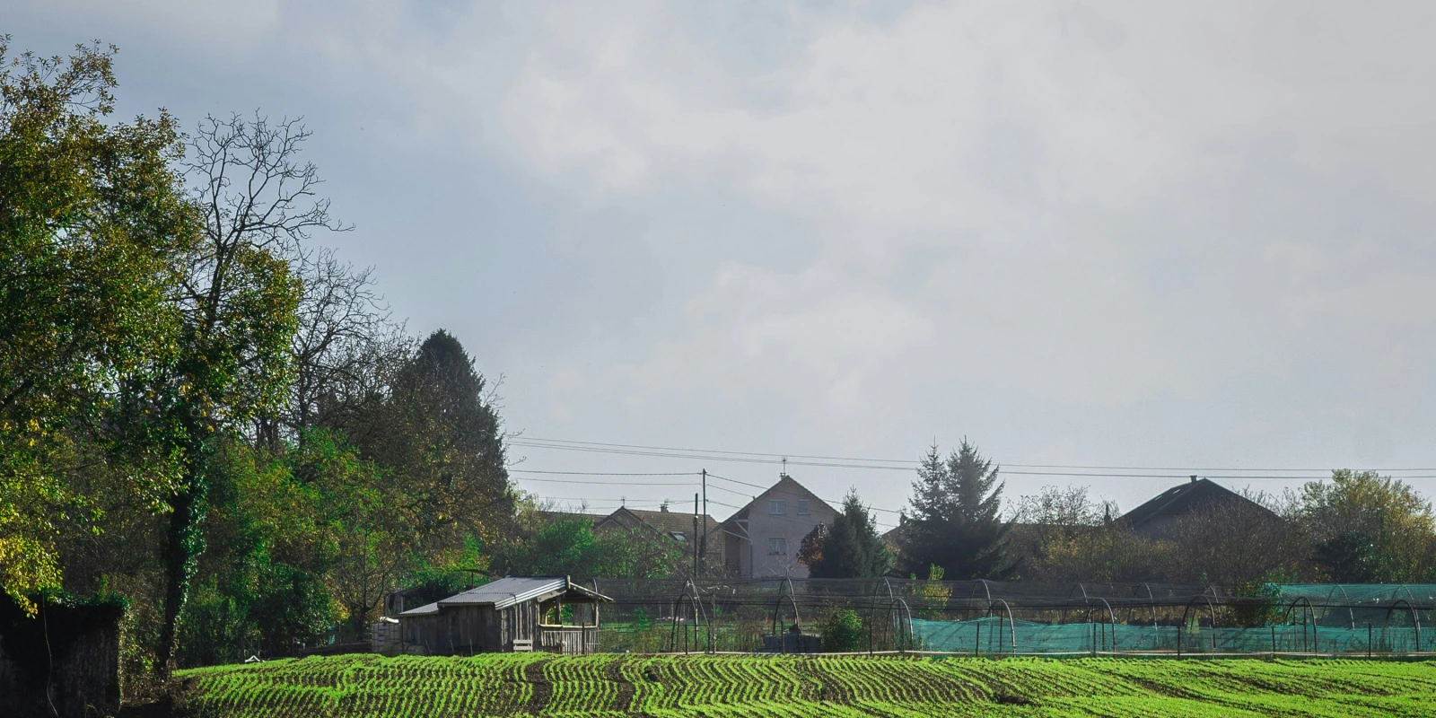 BTSA ACSAGRI : Programme et Cours en Détail