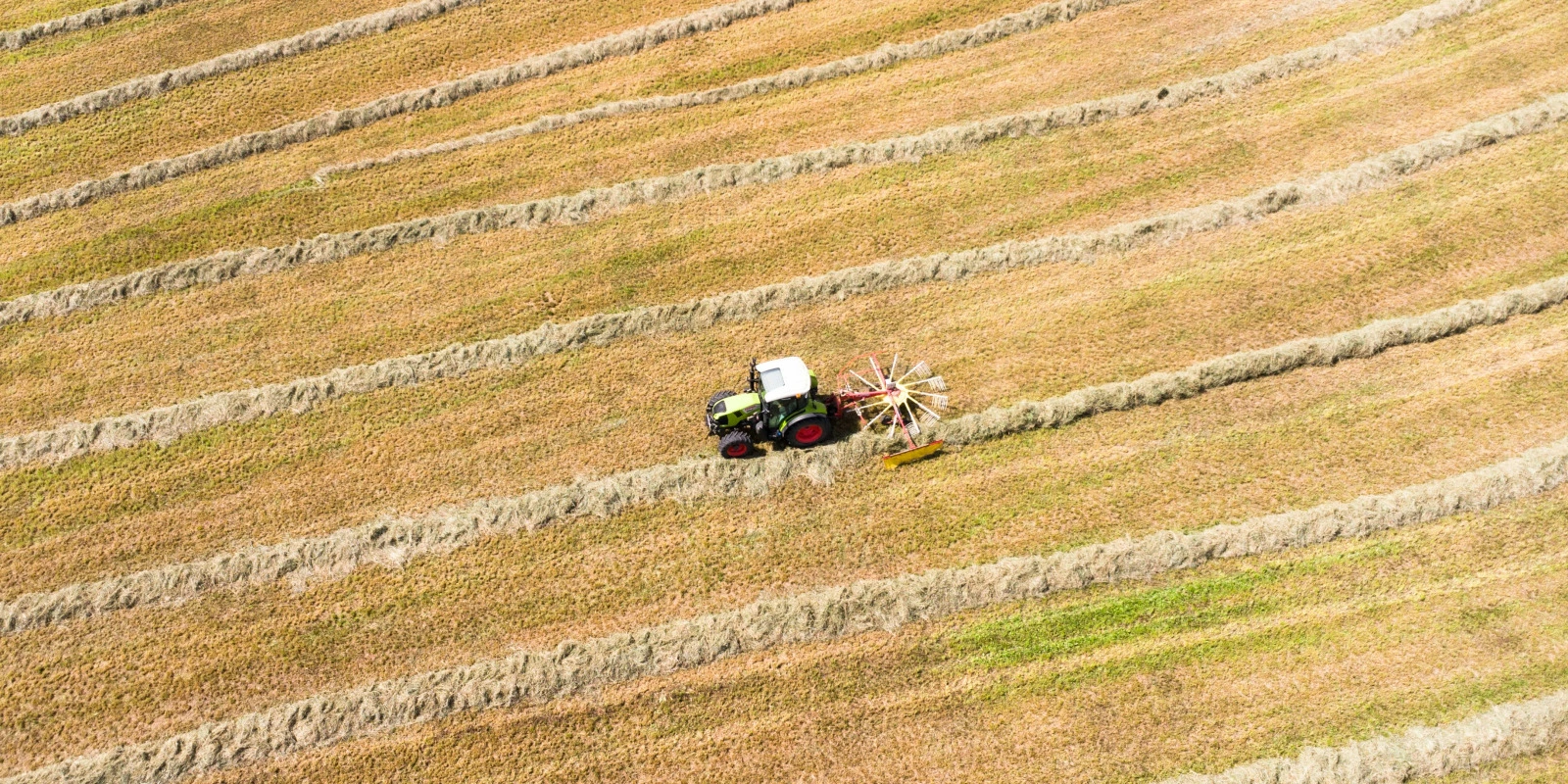 Programme du BTSA ACSAGRI : Cours et Modules